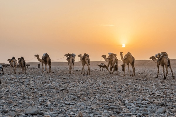 Danakil Depression 4